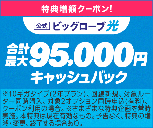 ビッグローブ光 - 在宅副業に最適な高速光回線インターネット