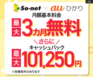 So-net 光 (au ひかり) - au ユーザー最強の光回線